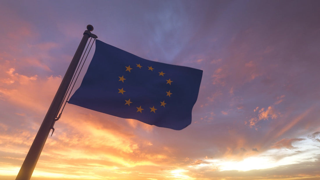 european union environmental regulation documents