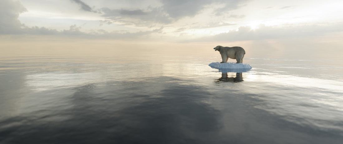 melting glacier ice sheet collapse climate tipping point