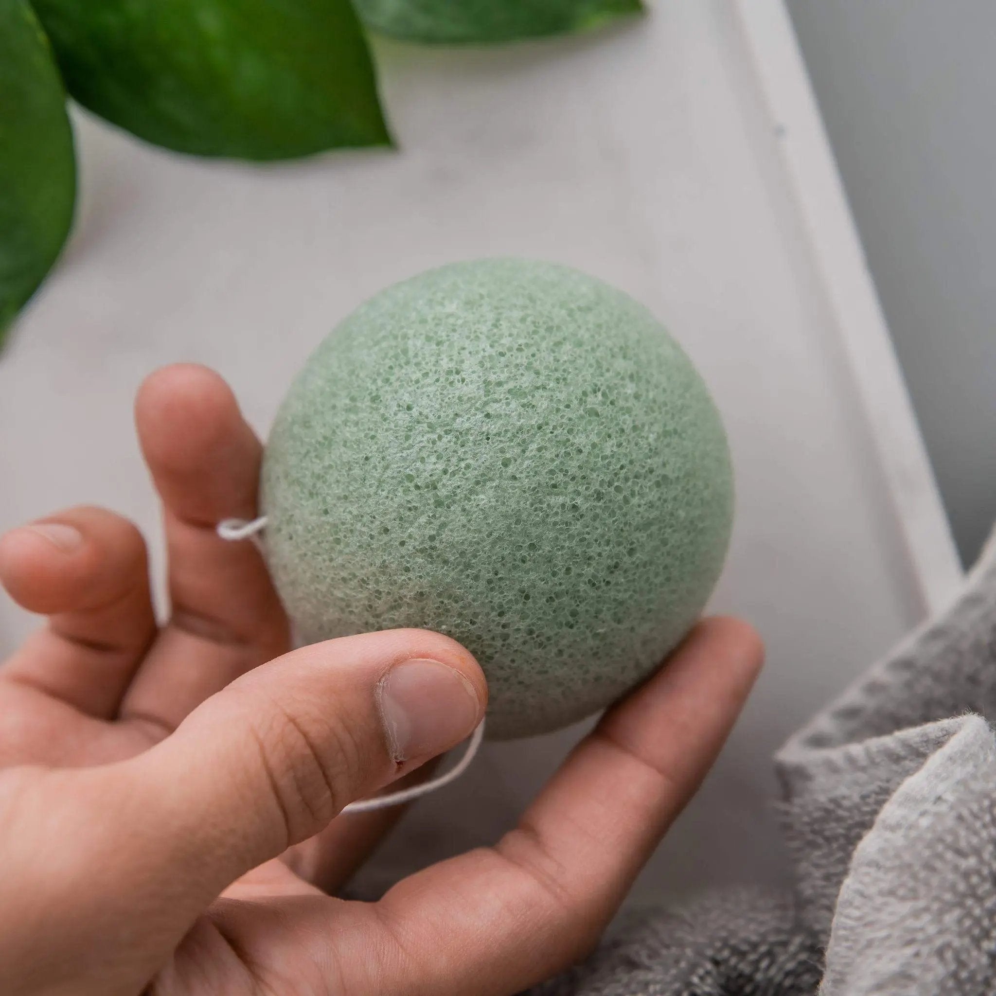 Konjac Sponge (Duo) aloe mint detail_front