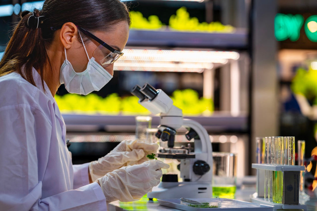 technology innovation