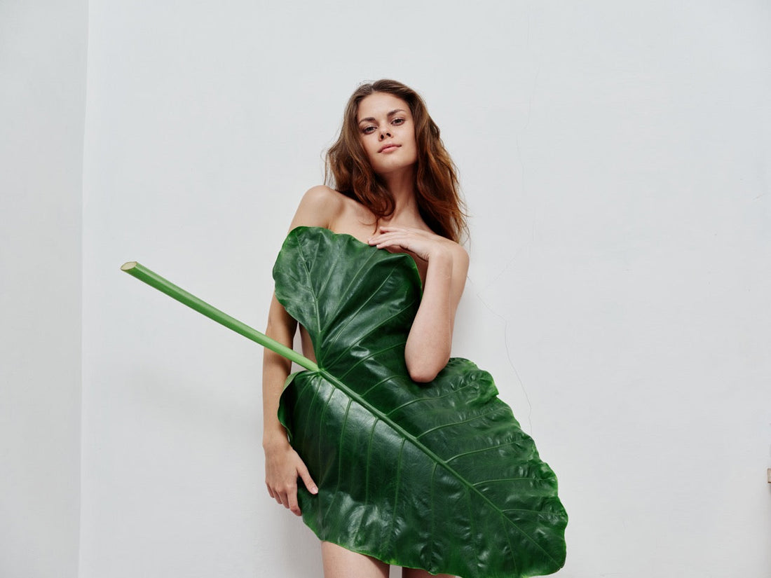 H&M conscious collection sustainable fashion greenwashing display