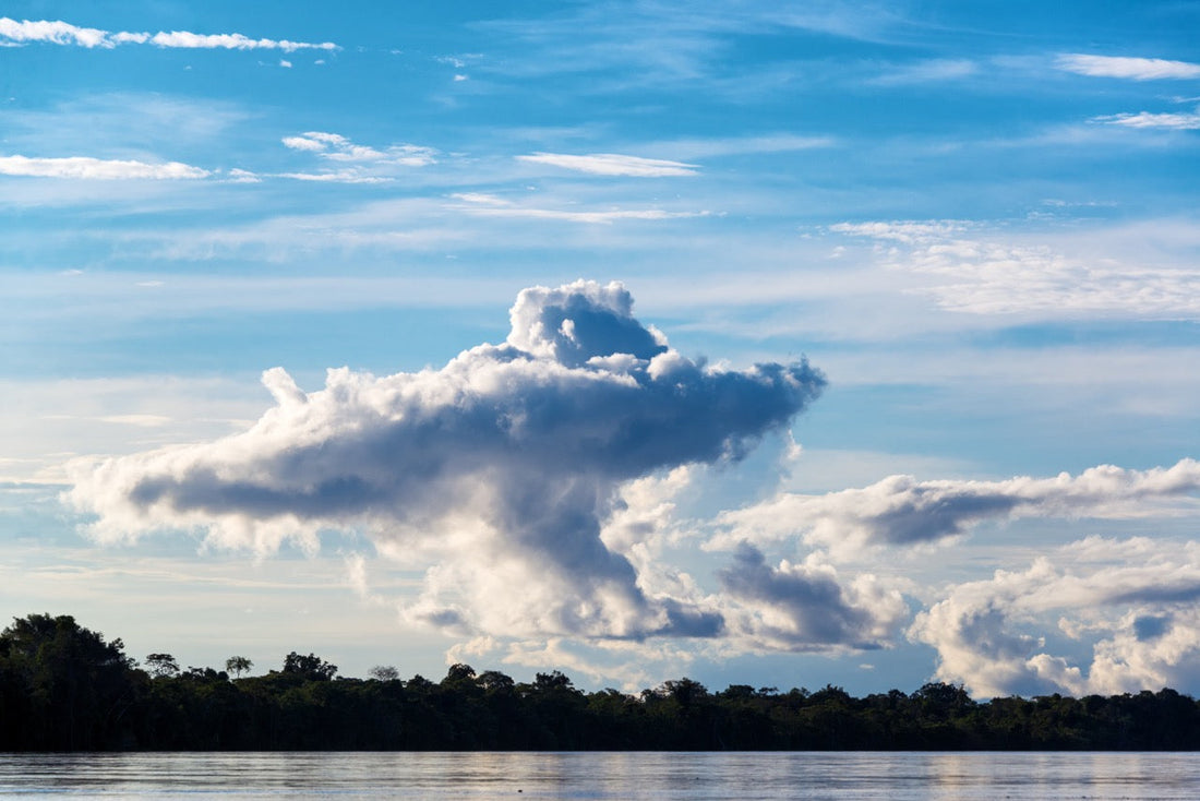 COP30 Brazil Belem conference Amazon rainforest backdrop