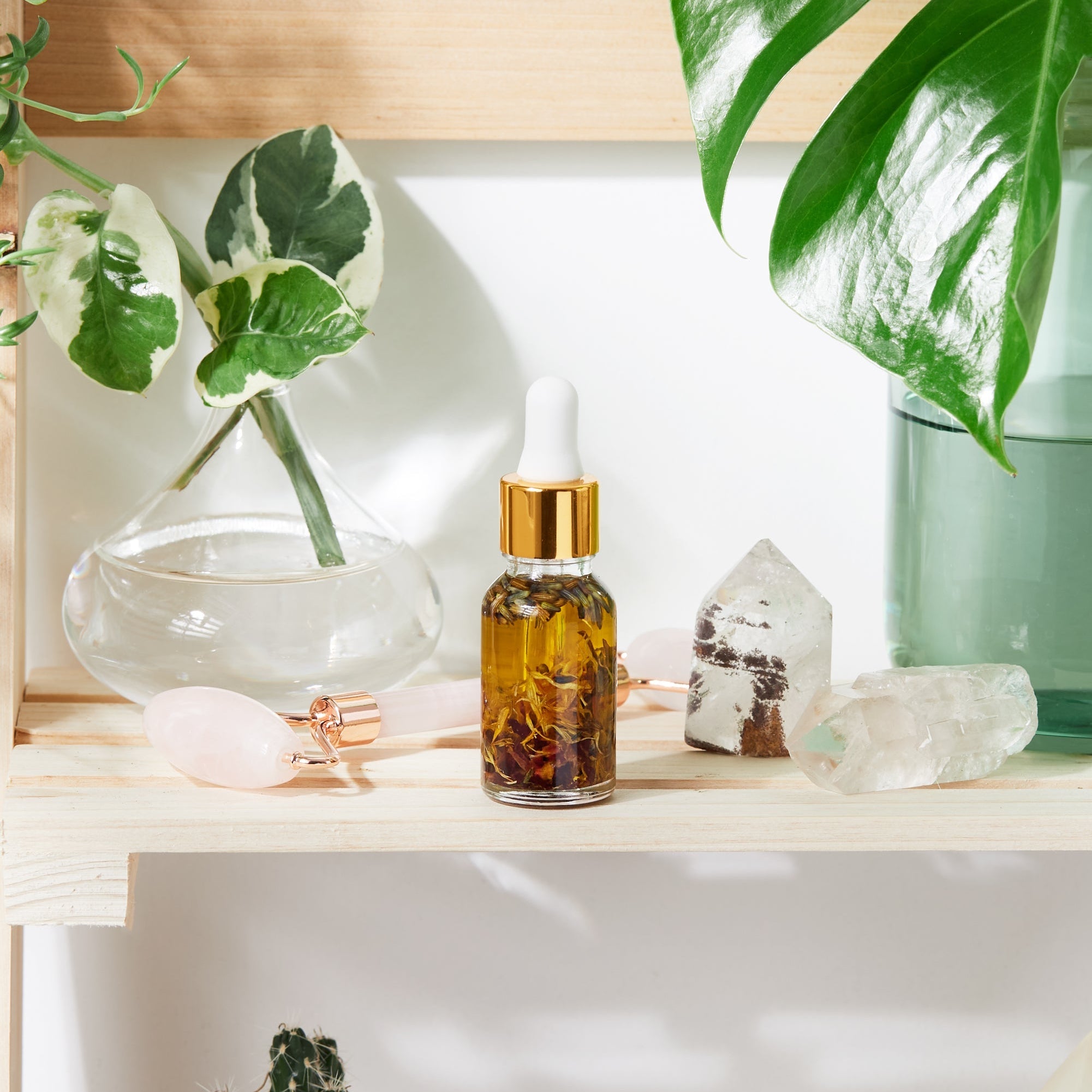 Anti-Aging | Youth Serum | Facial Serum | Butter Me Up Organics_other front