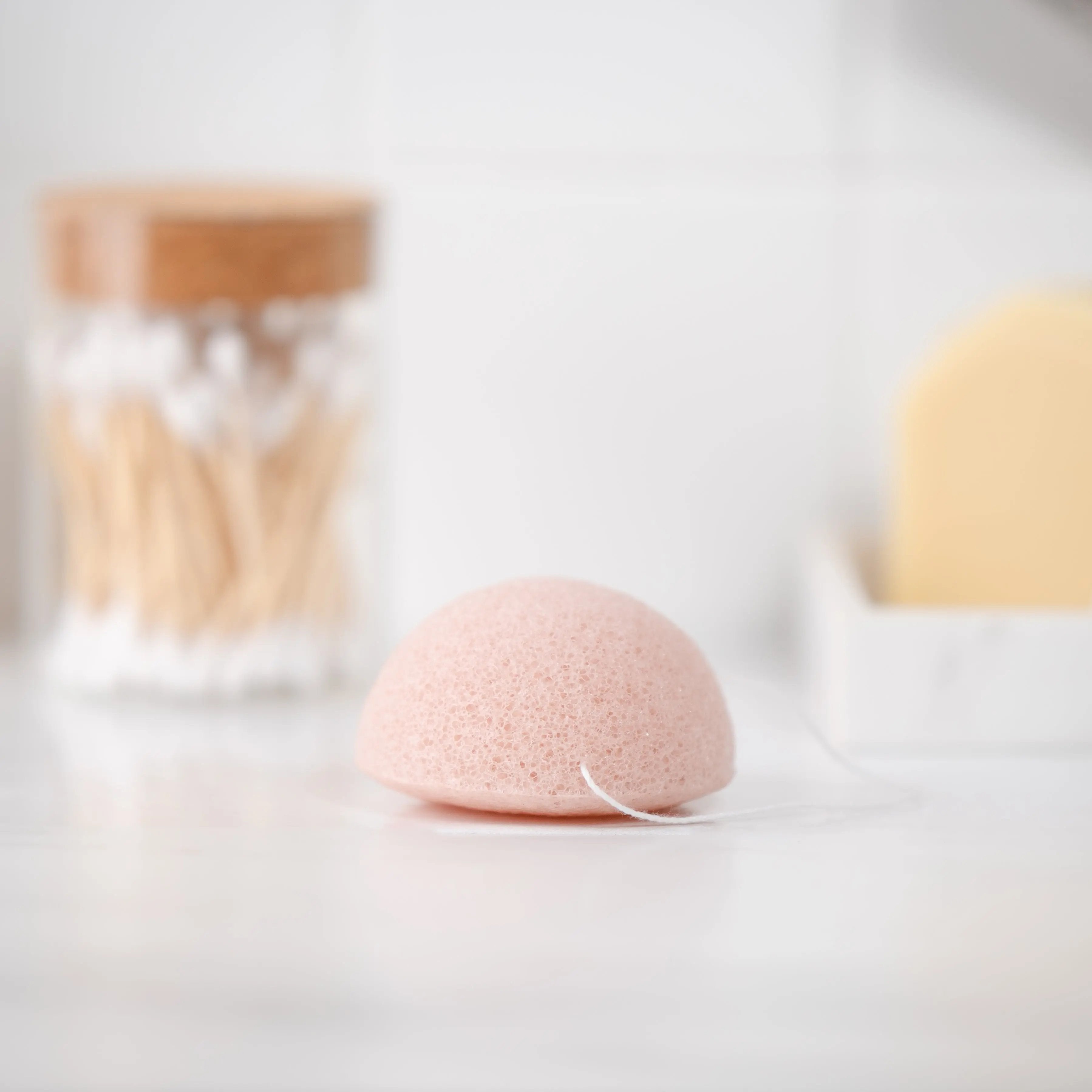 Konjac Sponge detrail shot front